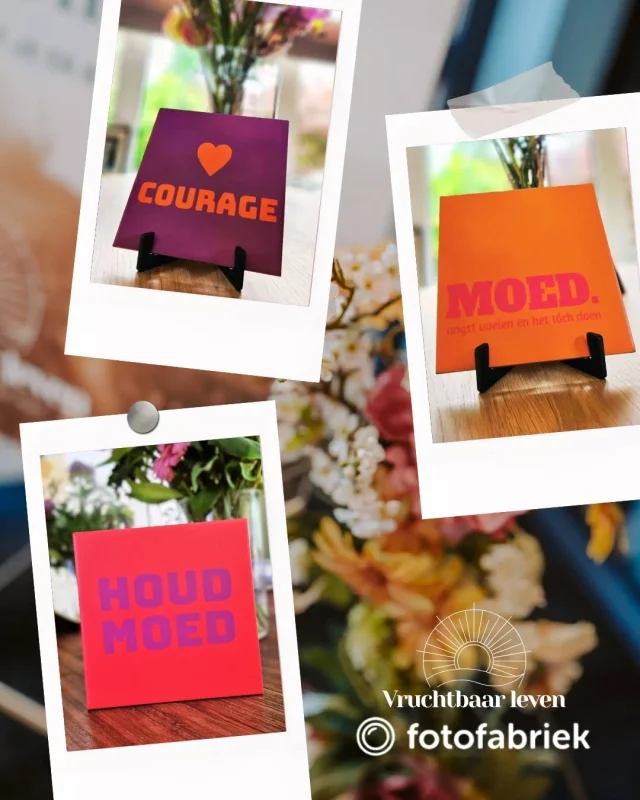 Voor het event waren we op zoek naar een tastbare herinnering die onze deelnemers zou bemoedigen en verbinden. Dankzij de gulle bijdrage van @fotofabrieknl  konden we deze prachtige keramieken tegeltjes ontwerpen en uitdelen – een blijvend aandenken met een bemoedigende boodschap.

We zijn @fotofabrieknl enorm dankbaar voor het deels sponsoren van deze toffe tegeltjes. Jullie snelle service, oog voor kwaliteit en meedenkend vermogen maakten dit mogelijk 🧡

Bezoek www.fotofabriek.nl om hun mooie producten zelf te ontdekken.

#spon #fotofabriek #keramiektegels #tegeltjeswijsheid #bemoediging #vrouwenevent #vruchtbaarleven
